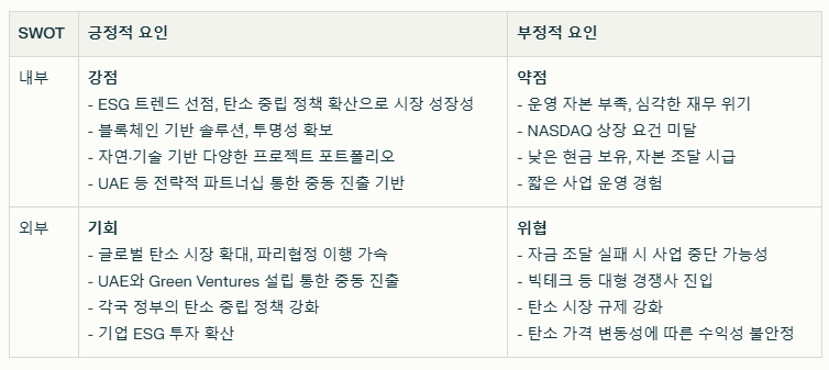 데브스트림 SWOT분석