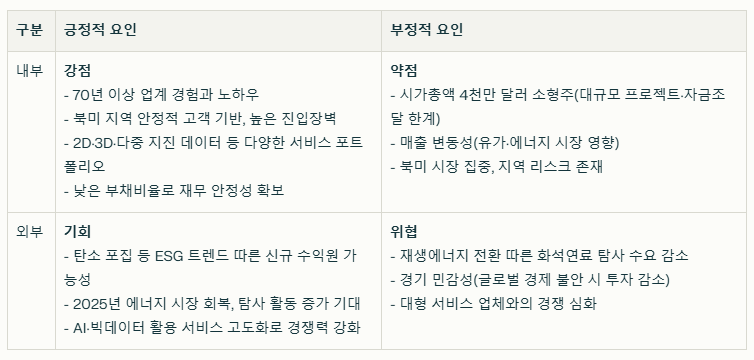 도슨 지오피지컬 SWOT분석