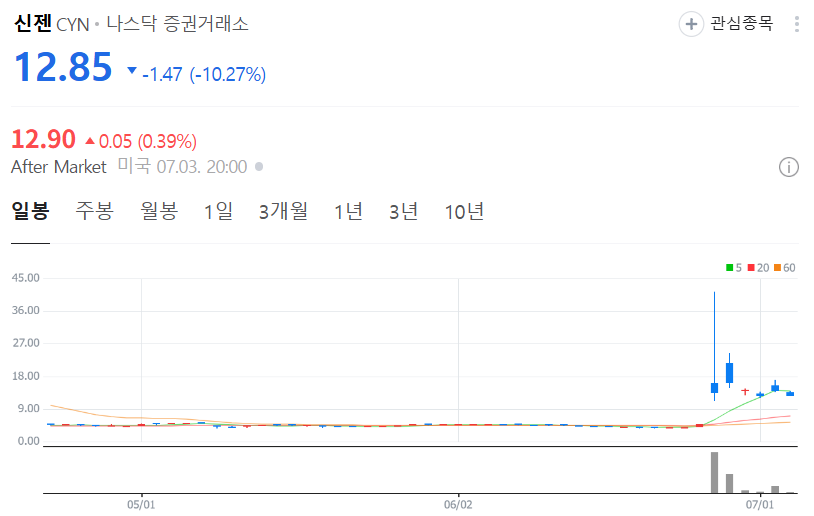 신젠 주가 차트